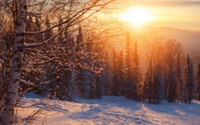 Vánoční kouzlení aneb Jak využít tvořivou sílu myšlenek a emocí k pozitivní změně