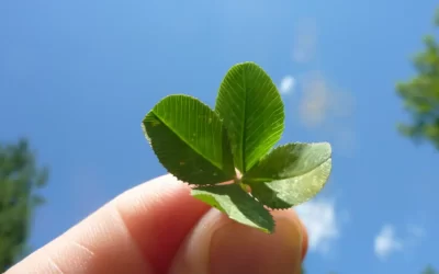 Životní krize a jak je zvládnout